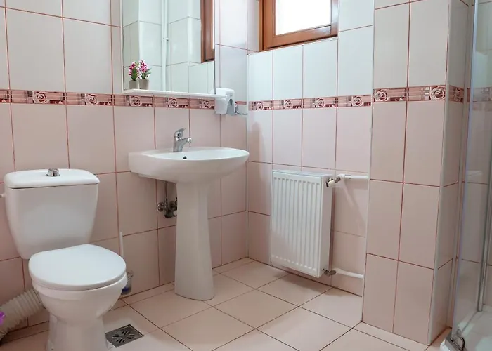 بيت ضيافة Raluca Năvodari