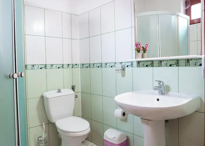 Raluca بيت ضيافة