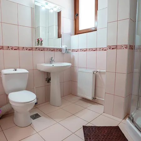 Guest house Raluca Navodari