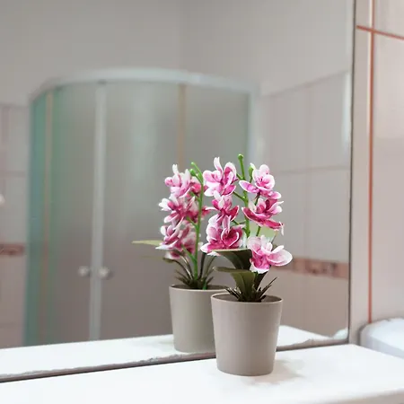 Guest house Raluca Navodari