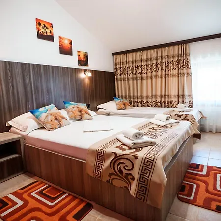 Raluca Guest house 3*