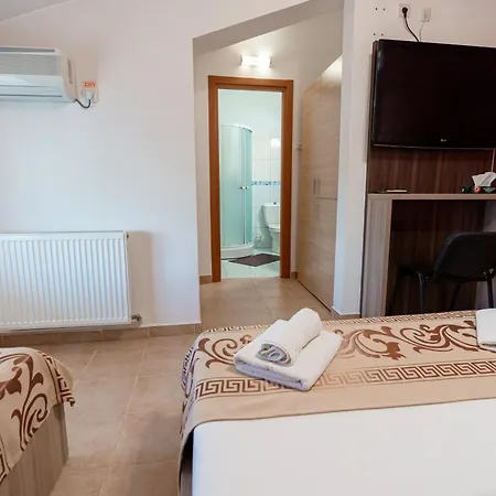Guest house Raluca Navodari