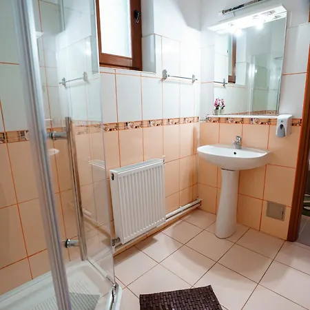 Guest house Raluca 3*